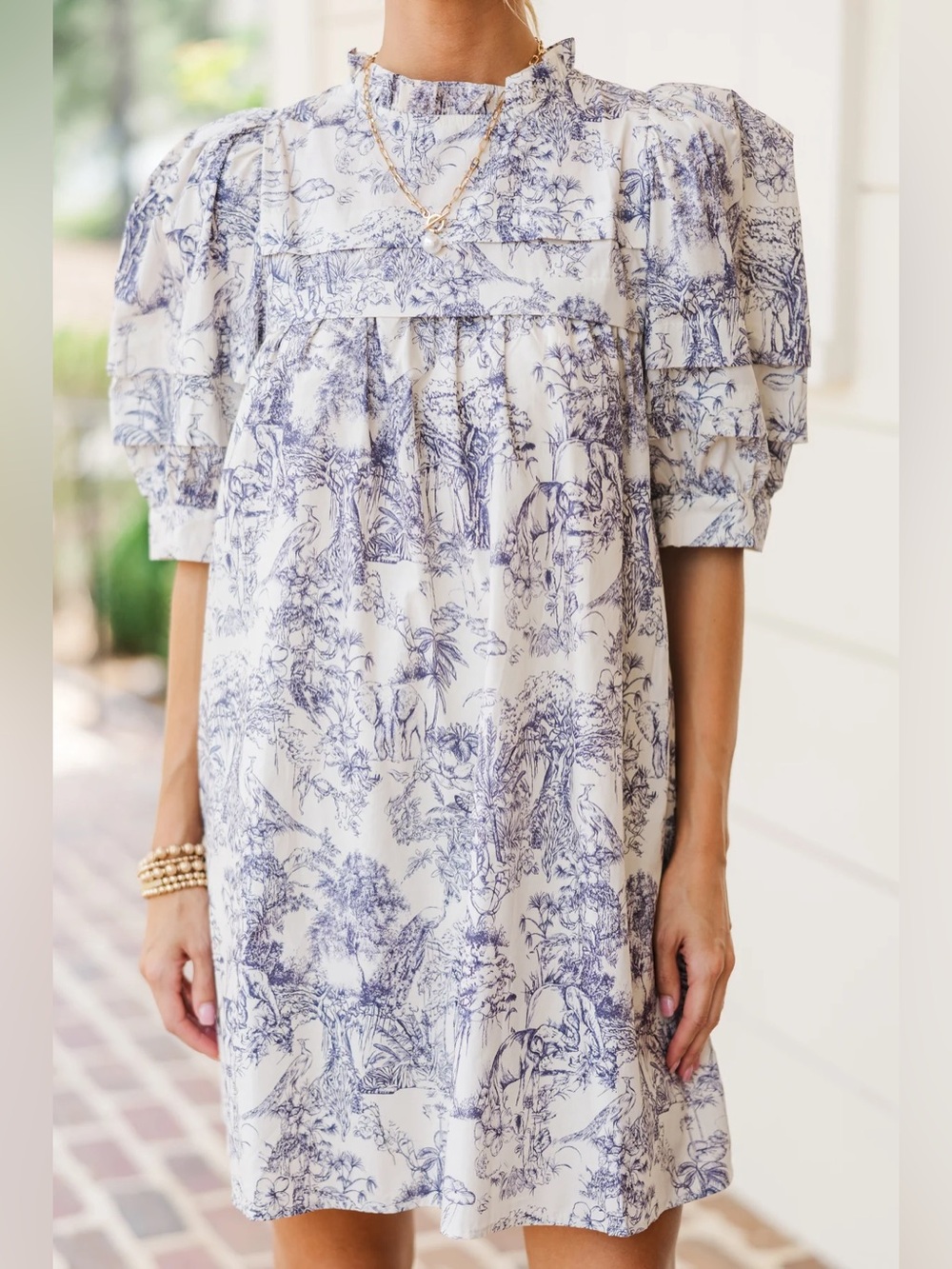 Entro Puff Sleeve Dress